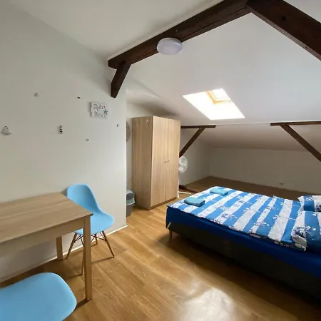 Sea World Mansarda 公寓 格但斯克