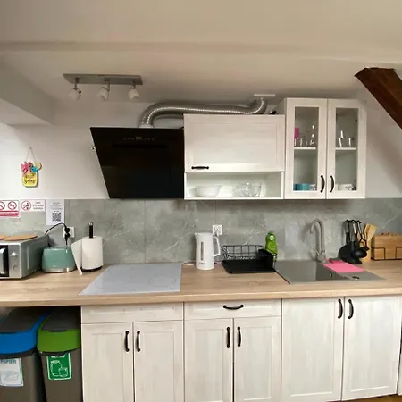 Sea World Mansarda 公寓 格但斯克